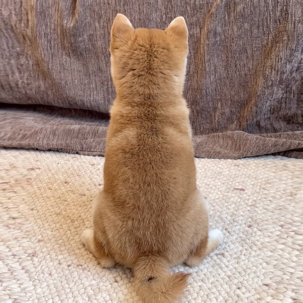 Back view