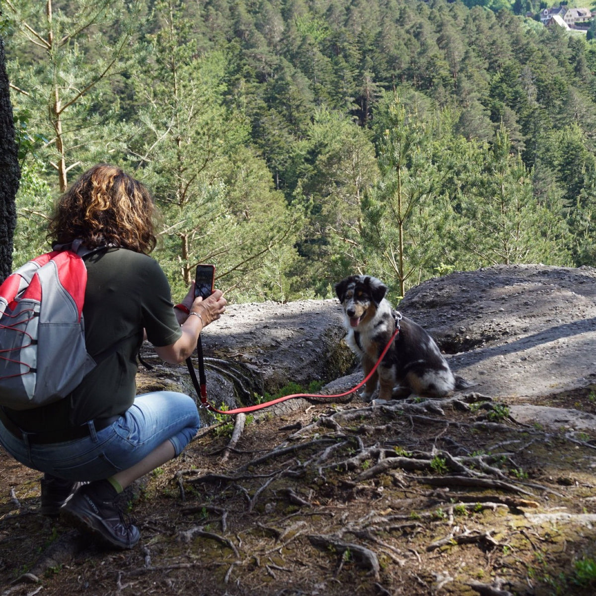 A woman seen from behind crouching on a rocky ledge above a pine forest, photographing a small merle puppy on a red leash with her phone