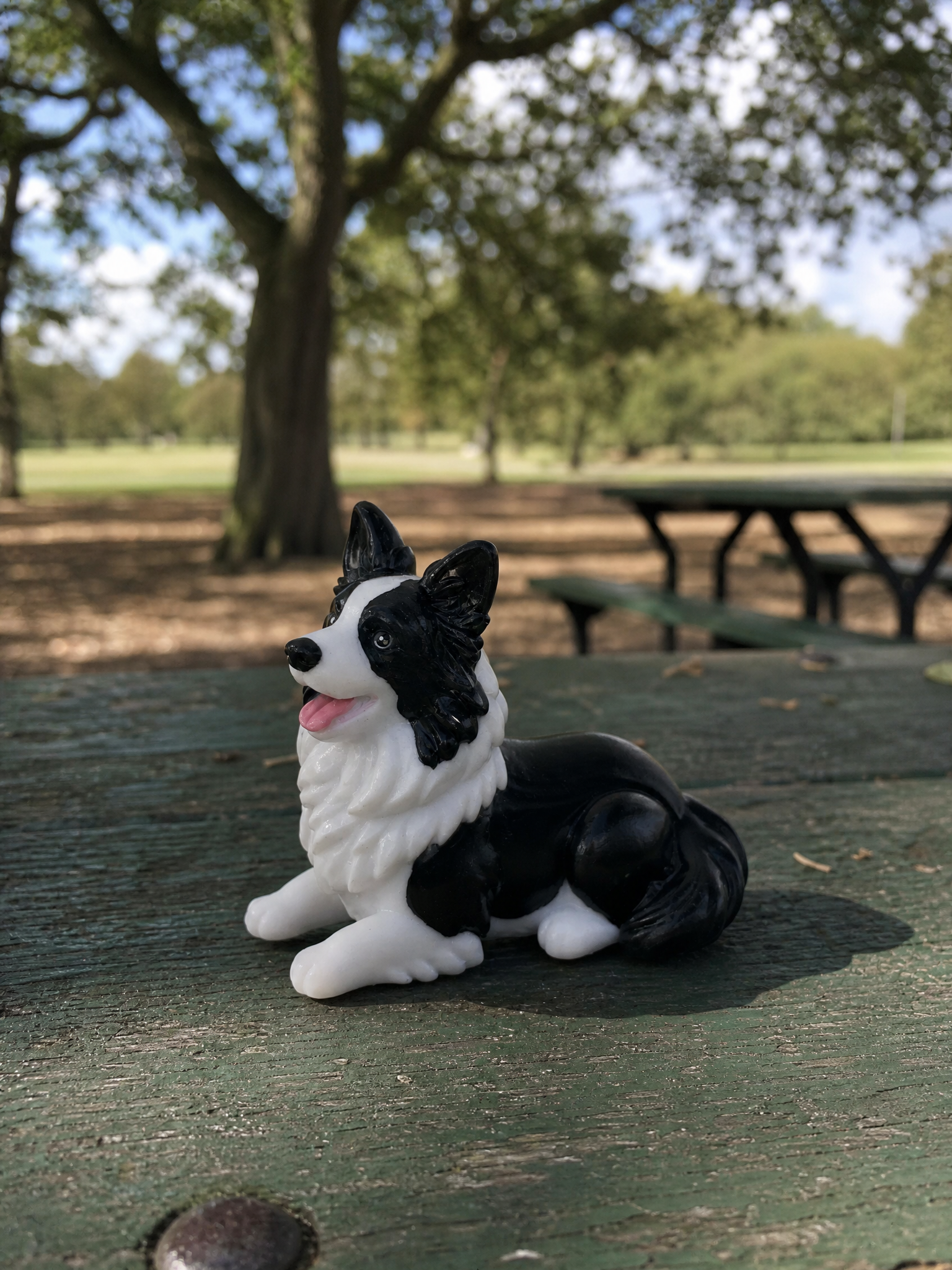 Custom dog figurine of a Border Collie lying on a park picnic table